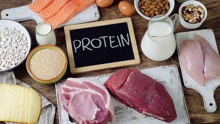 Dietary Protein for Diabetics